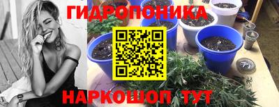 крисы Краснокаменск