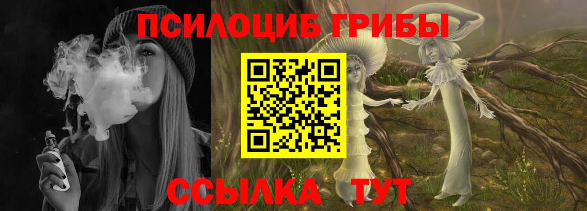 Галлюциногенные грибы Psilocybe Зеленогорск