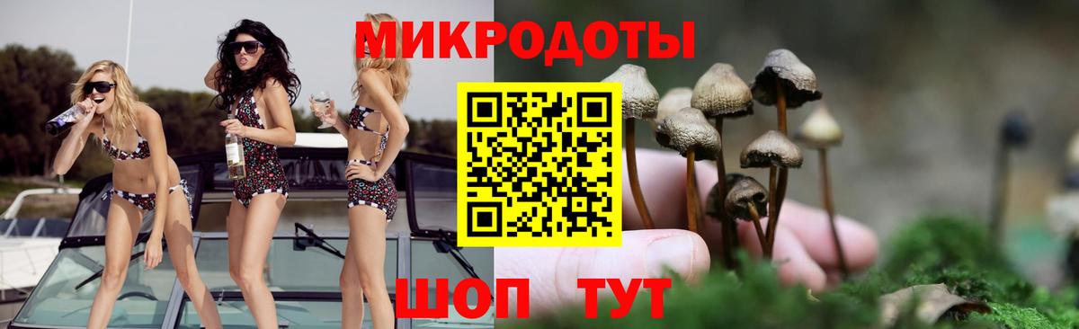 Зеленогорск  Псилоцибиновые грибы Magic Shrooms  Вход с VPN 
